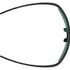 Alpina Wanderbekleidung|Fahrradbrillen-- Eagle Q-Lite S2 - Sonnenbrille Midnight / Grey Matt / Q-Lite Green