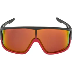 - Legend Q-Lite Cat. 3 - Sonnenbrille < Alpina Online