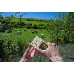 Baladu00e9o Baladéo - Terroir - Messer Outlet