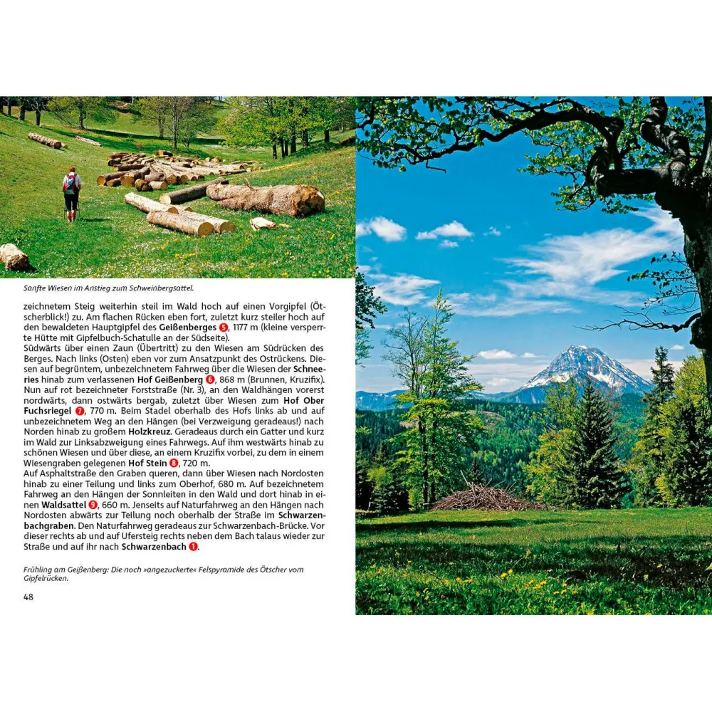 - Ötscher - Mariazell - Wanderführer < Bergverlag Rother New