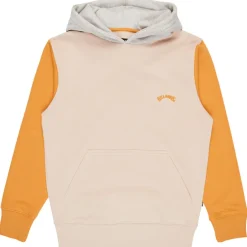 Billabong Alltagsbekleidung|Pullover & Hoodies-- Kid's Arch Block PO LT - Hoodie