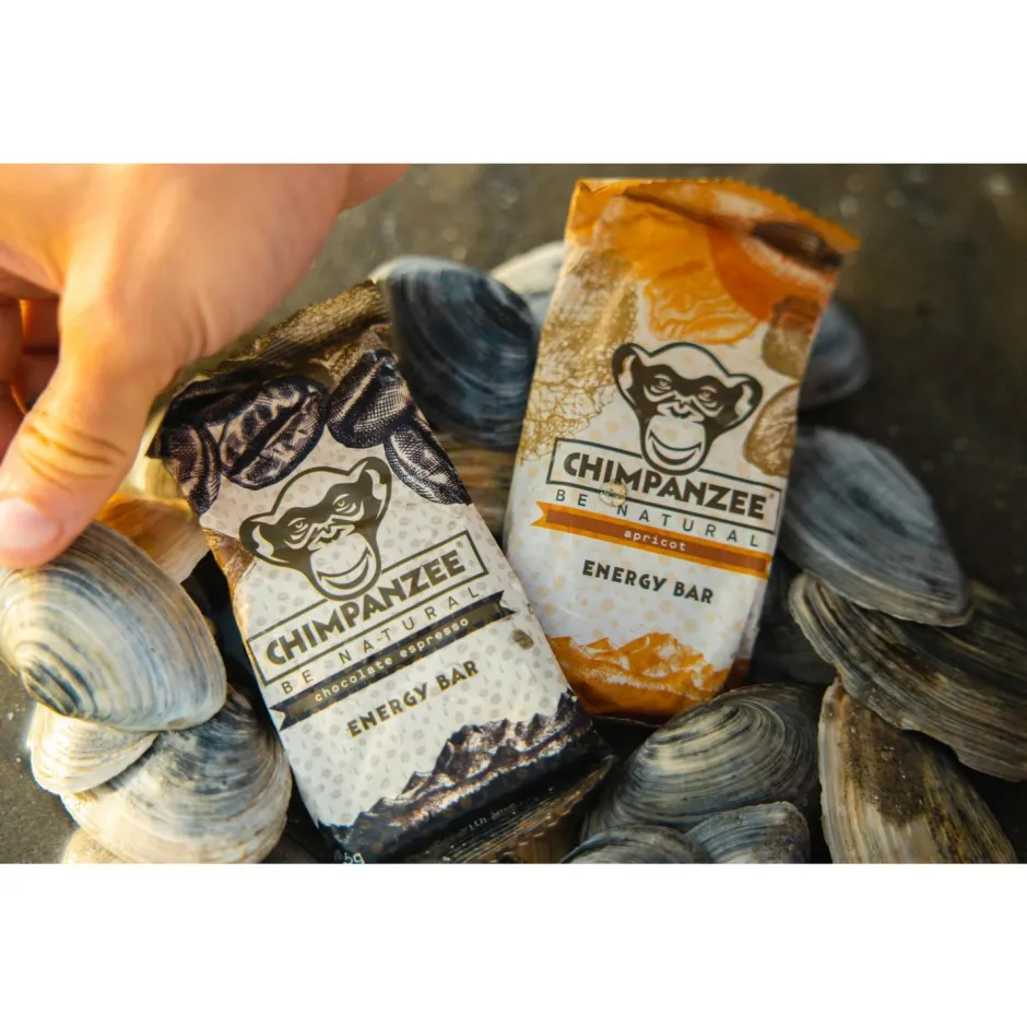 Chimpanzee Riegel|Outdoor Lebensmittel-- Energy Riegel Apple/Ginger - Energieriegel