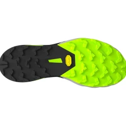 Dynafit - Alpine DNA 2 - Trailrunningschuhe Clearance