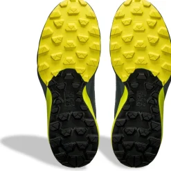 Dynafit - Ultra GTX - Trailrunningschuhe