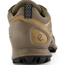 - Biom C-Trail INV-GTX - Multisportschuhe < Ecco New
