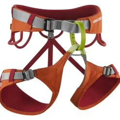 Edelrid - Jay IV - Klettergurt Discount