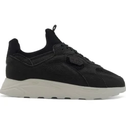 EKN Footwear Sneaker|Sneaker-- Larch - Sneaker