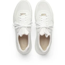 EKN Footwear Sneaker|Sneaker-- Larch - Sneaker