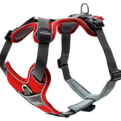 - Harness Divo - Hundegeschirr < Hunter Hot