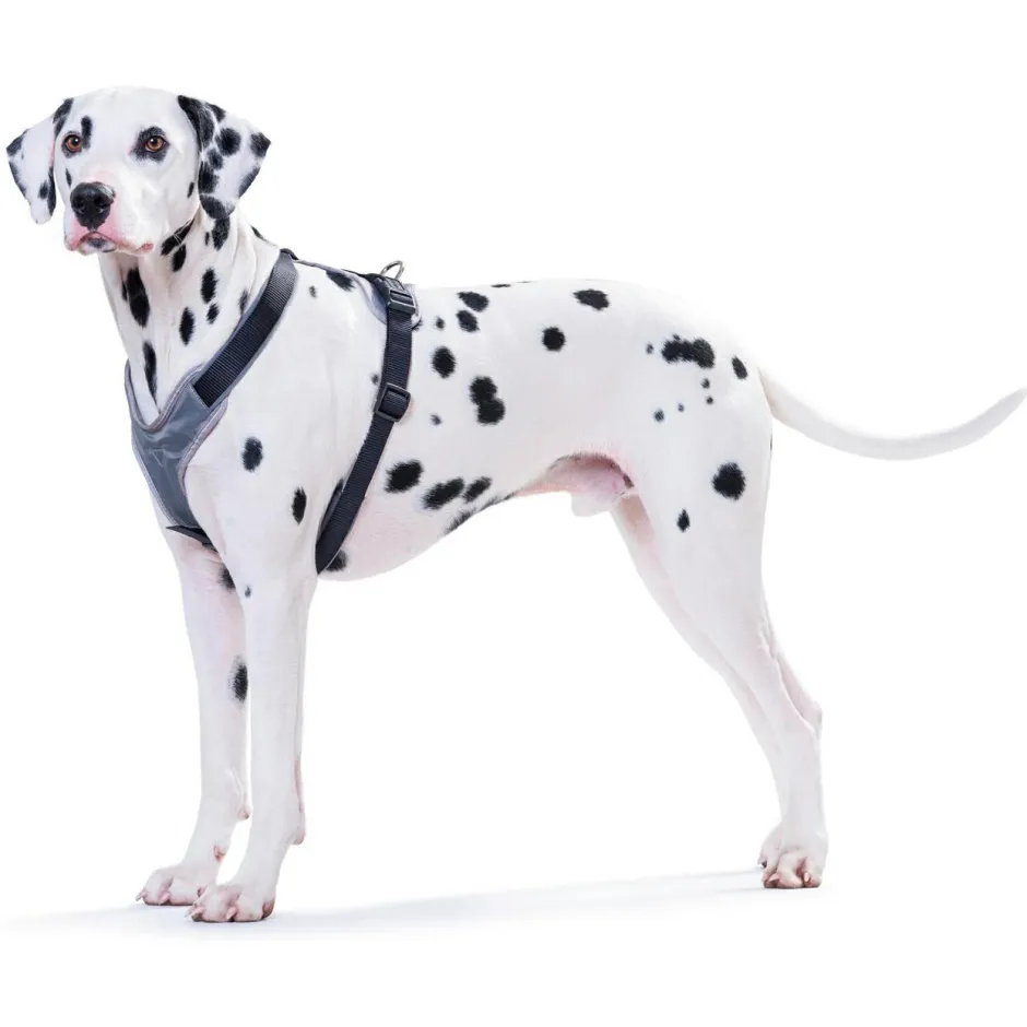 Hunter - Harness Neoprene - Hundegeschirr