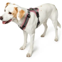 - adon Up - Hundegeschirr < Hunter Outlet