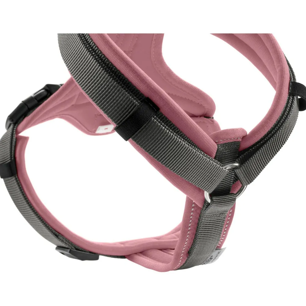 - adon Up - Hundegeschirr < Hunter Outlet