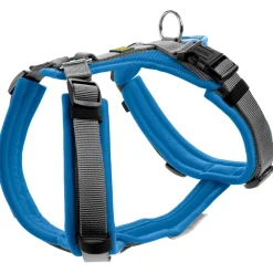 - adon Up - Hundegeschirr < Hunter Outlet