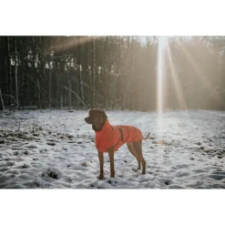 - Mantel Nordby - Hundemantel < Hunter Discount