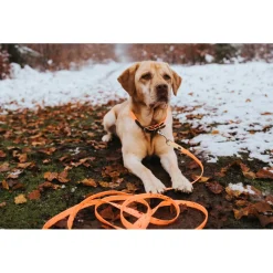 - Suchleine Convenience - Hundeleine < Hunter Best
