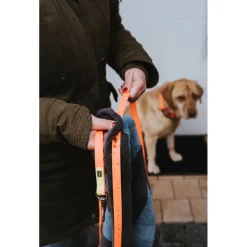 - Suchleine Convenience - Hundeleine < Hunter Best