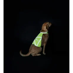 Hunter Hundemäntel-- Warnweste reflektierend - Hundemantel Yellow