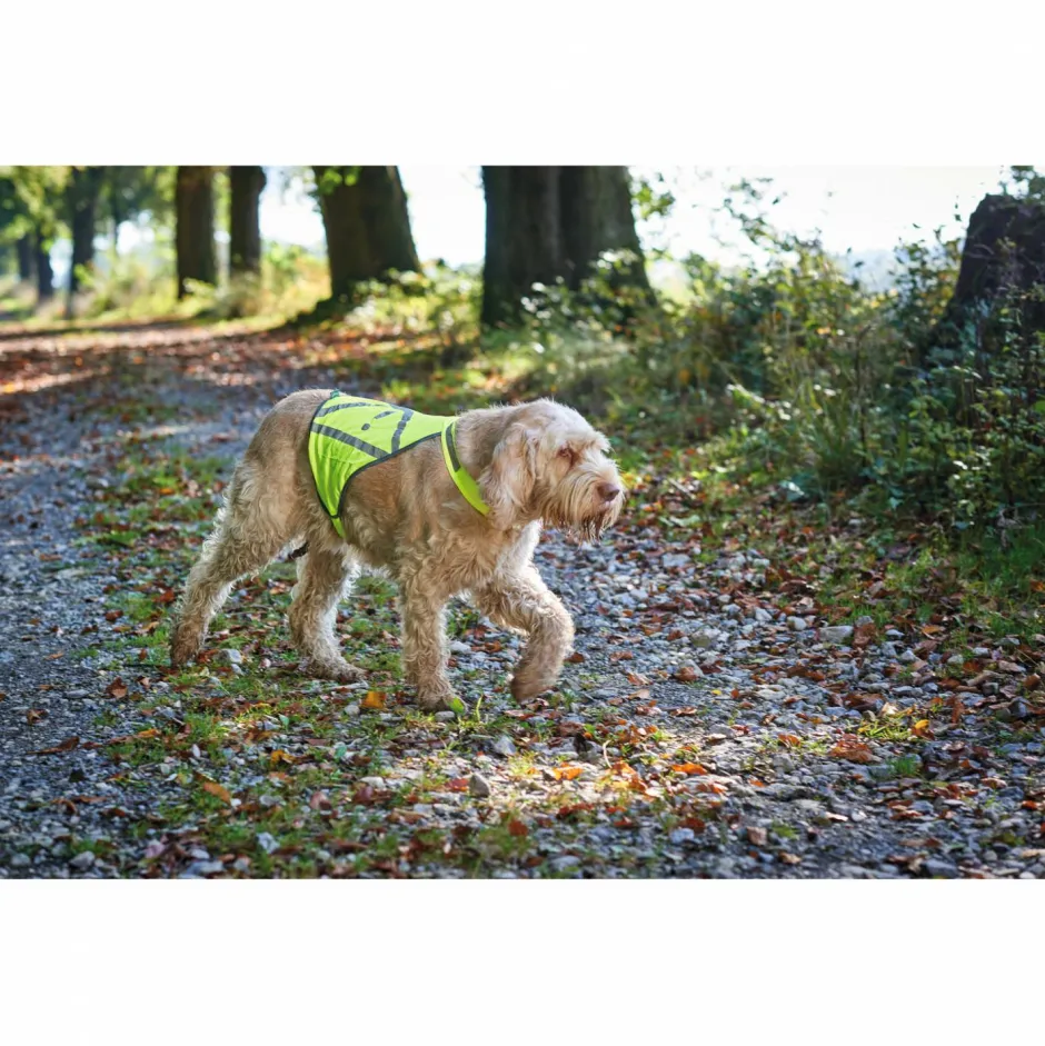 Hunter Hundemäntel-- Warnweste reflektierend - Hundemantel Yellow