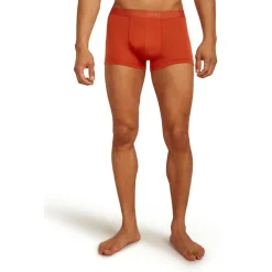 - erino 125 Coo-ite Anatoica Trunk - erinounterwäche < Icebreaker