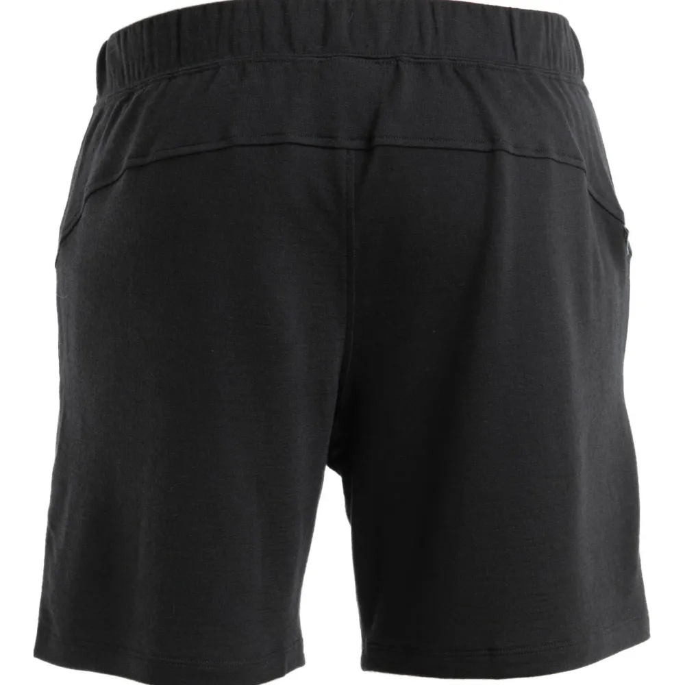 - erino Shifter II Shorts - Shorts < Icebreaker Online