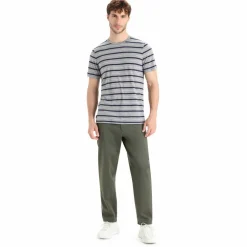 Icebreaker - Wave S/S Tee Stripe - Merinoshirt Online