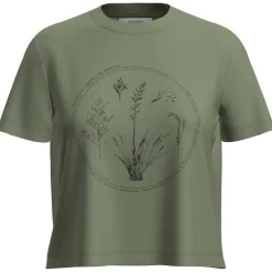 Icebreaker Alltagsbekleidung|Wanderbekleidung-- Women's Merino 150 Tech Lite S/S Seed Story - Merinoshirt