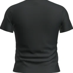 Icebreaker - Women's Merino 200 Tech Lite S/S Crop Slim Tee - Merinoshirt Hot