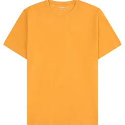 KnowledgeCotton Apparel Alltagsbekleidung|Wanderbekleidung-- Agnar Basic T-Shirt - T-Shirt