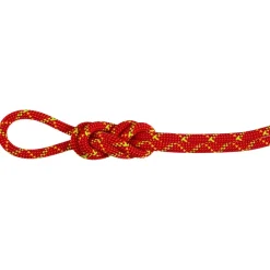- 8.0 Alpine Core Protect Dry Rope - Halbseil < Mammut Outlet