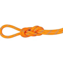 - 8.7 Alpine Sender Dry Rope - Einfachseil < Mammut Clearance