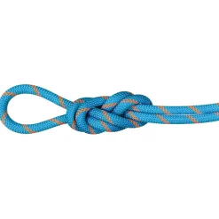 - 8.7 Alpine Sender Dry Rope - Einfachseil < Mammut Clearance