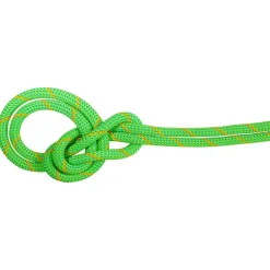 Mammut - 9.5 Crag Dry Rope - Einfachseil Clearance
