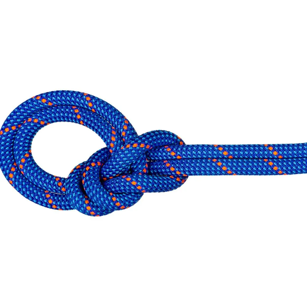 Mammut - 9.5 Crag Dry Rope - Einfachseil Clearance