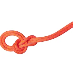 Mammut - 9.8 Crag Dry Rope - Einfachseil Vibrant Orange / Lavandin Discount