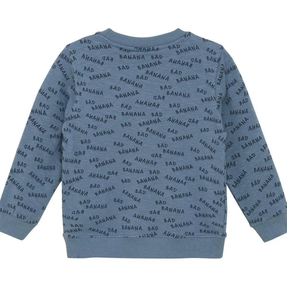 - Kid's Sweatshirt L/S AOP - Pullover < Minymo Online