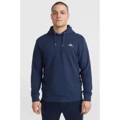 O'Neill Pullover & Hoodies|Alltagsbekleidung-- Small Logo Hoodie - Hoodie