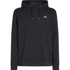 O'Neill Pullover & Hoodies|Alltagsbekleidung-- Small Logo Hoodie - Hoodie