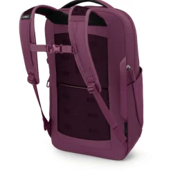 Osprey Daypacks|Daypacks-- Ozone Laptop Backpack 18 - Daypack