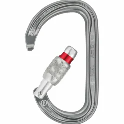 Petzl - Am'D Screw-Lock - Schraubkarabiner Grey Discount