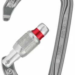 Petzl - Am'D Screw-Lock - Schraubkarabiner Grey Discount
