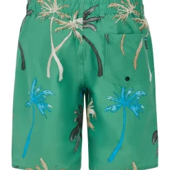 Protest - Kid's PRTBrandon - Boardshorts Online