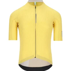 - Dottore Pro Jerey - Radtrikot < Q36.5 Sale