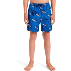 Quiksilver Bademode-- Kid's Next Gen Volley 14 - Boardshorts