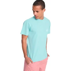 Quiksilver - EV ini ogo / - T-hirt