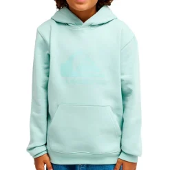 Kinder Quiksilver - Kid's Comp Logo Hoodie - Hoodie