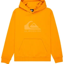 Kinder Quiksilver - Kid's Comp Logo Hoodie - Hoodie