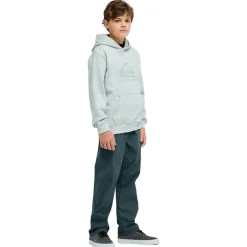 Kinder Quiksilver - Kid's Comp Logo Hoodie - Hoodie