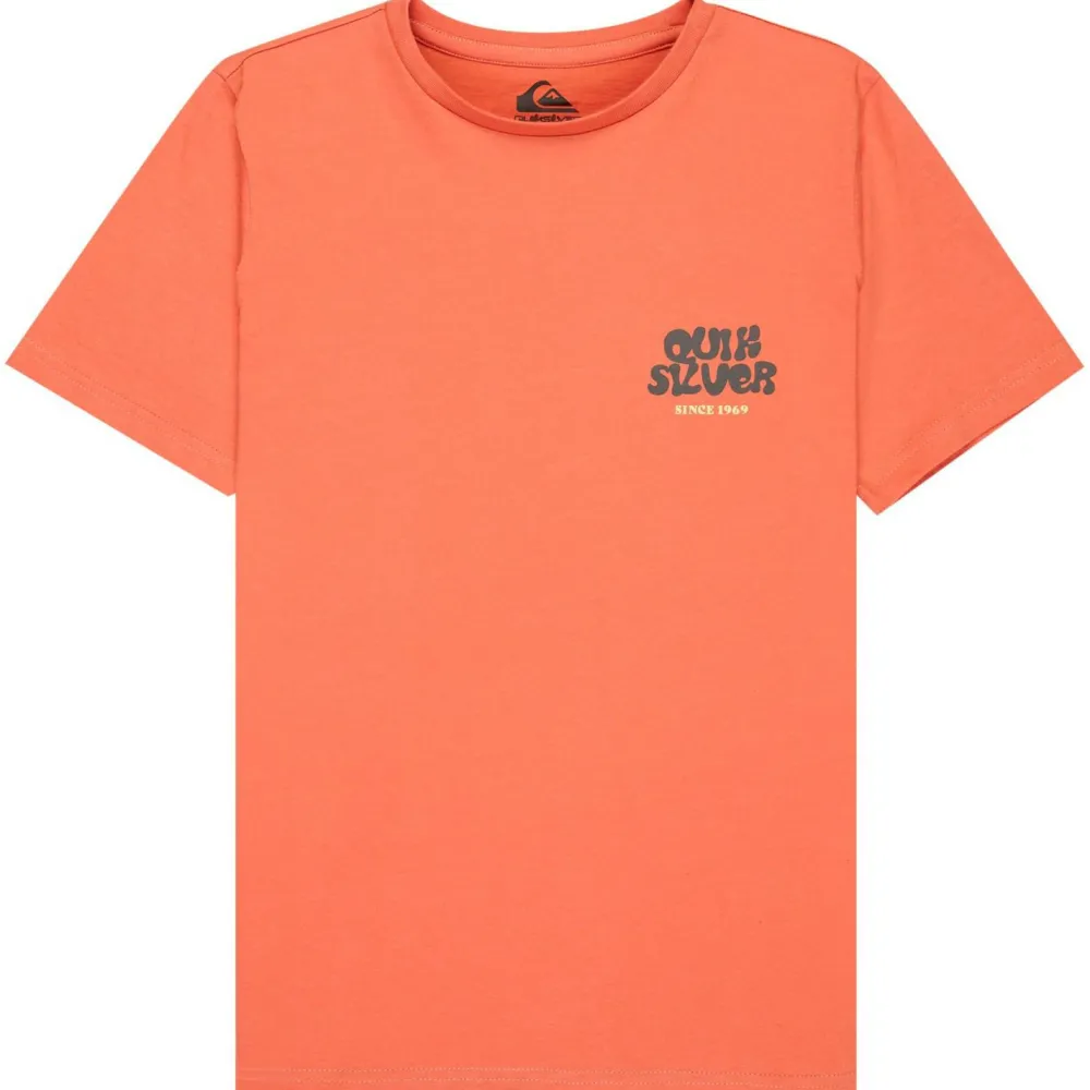 Quiksilver - Kid's Fruits Tide S/S - T-Shirt Outlet