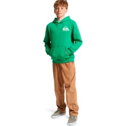 Kinder Quiksilver - Kid's Omni Logo Hoodie - Hoodie