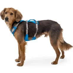 Ruffwear Hundegeschirr-- Flagline Harness - Hundegeschirr